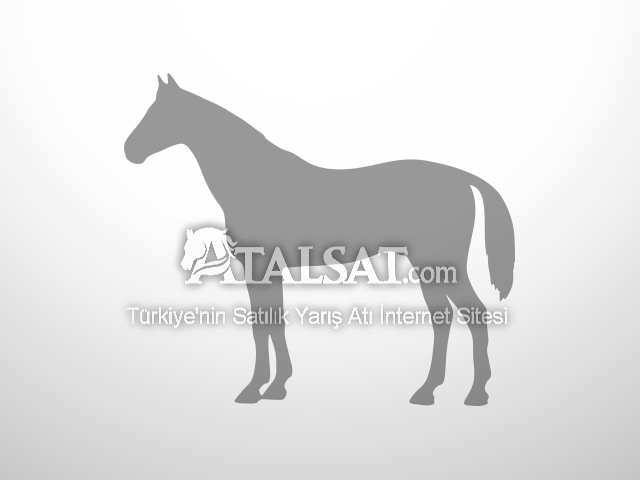 Satılık Damızlık